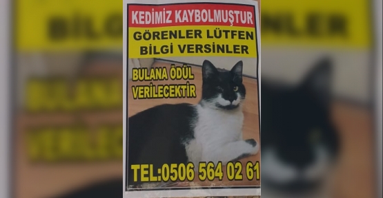 Kara’yı Bulana Ödül  Verilecek