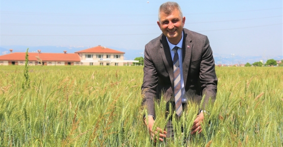 Başkan Sezer: “Buğdaylarımız Yetişiyor, Bereketli Olsun İnşallah”