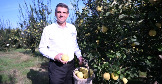 Hasat Başladı, Şimdi Eşme Ayva Festivali Zamanı