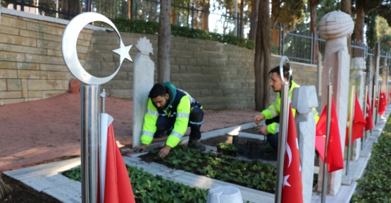 Şehit Mezarları Çiçeklerle Donatıldı