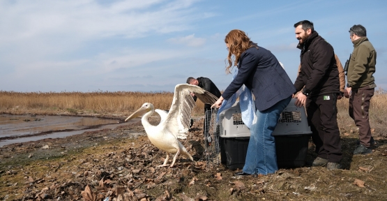 Dünya Sulak Alanlar Günü, ‘Flamingo Şenliği’ İle Kutlandı