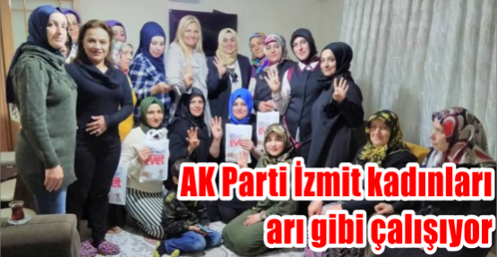 AK Parti İzmit kadınları arı gibi çalışıyor