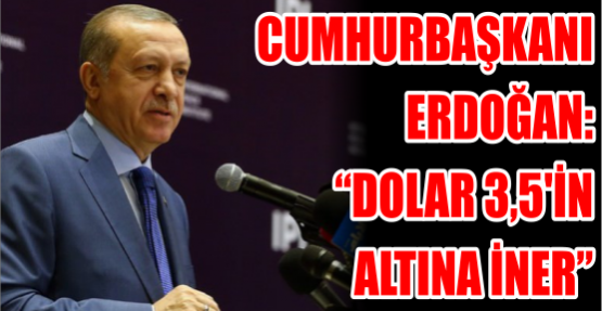 Cumhurbaşkanı Erdoğan: “Dolar 3,5'in altına iner“