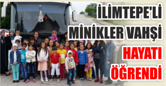 İlimtepe’li Minikler Vahşi Hayatı Öğrendi