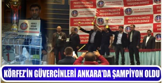 KÖRFEZ'İN GÜVERCİNLERİ ANKARA'DA ŞAMPİYON OLDU