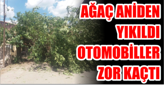 Otomobiller zor kaçtı